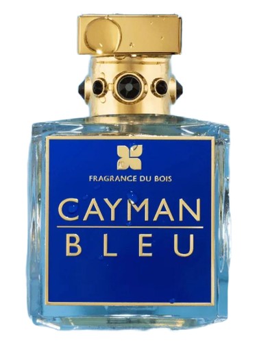 Oud Jaune Intense Hair Mist Perfume by Fragrance Du Bois for Unisex UAE