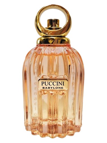 Puccini Lovely Night Blue Perfume by Puccini Paris for Women UAE