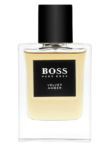 Narciso Rodriguez Amber Musc Perfume by Narciso Rodriguez for female UAE