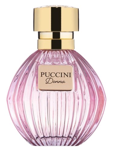 Puccini Lovely Night Blue Perfume by Puccini Paris for Women UAE