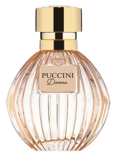Puccini Lovely Night Blue Perfume by Puccini Paris for Women UAE
