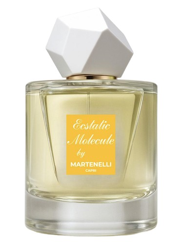 Ecstatic Molecule Perfume by Martenelli for Unisex UAE Ecstatic Molecule Perfume by Martenelli for Unisex UAE
