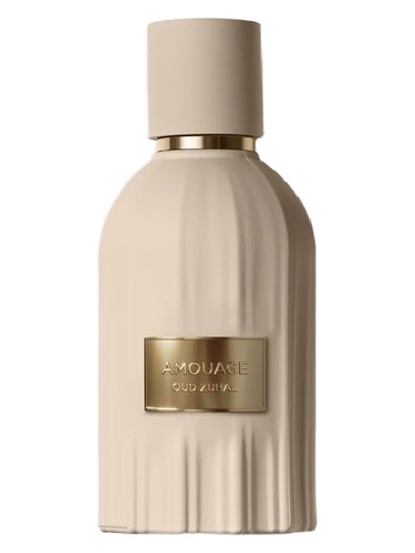 Ajmal Amir Two Perfume by Ajmal for unisex UAE