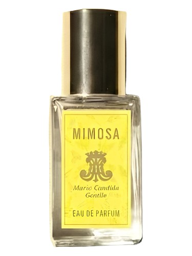Mimosa perfume