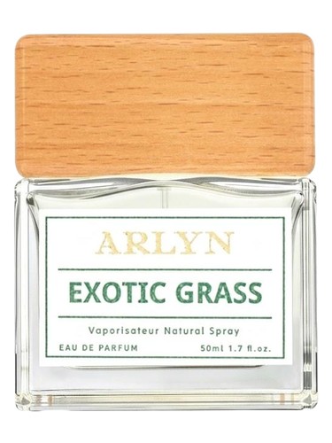 Sugar Rush Arlyn Perfume by Arlyn for Women UAE