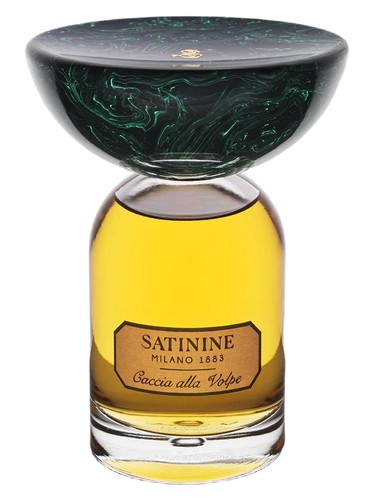 Monte Bianco Perfume by Satinine for Unisex UAE