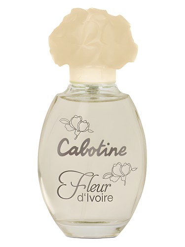 Close for women Perfume by Gap for female UAE