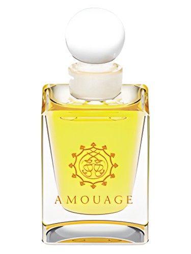 Michael Kors Sheer Perfume by Michael Kors for female UAE
