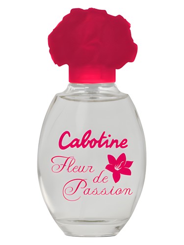 Cabotine Fleur de Passion Perfume by Grès for Women UAE