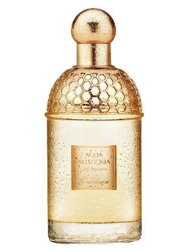 Aqua Allegoria Lys Soleia perfume