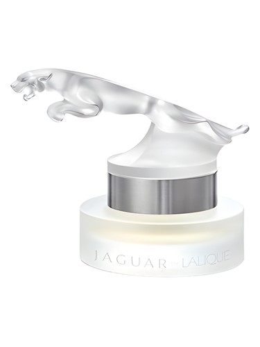 Jaguar For Men Perfume by Jaguar UAE