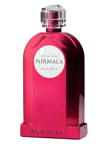 Super Playboy Perfume by Playboy for female UAE