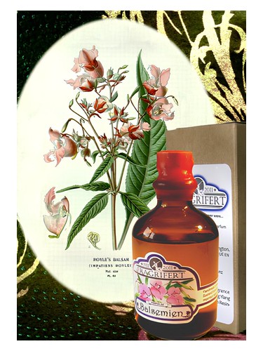 Balsemien Perfume by Fragrifert Parfumeur for Unisex UAE