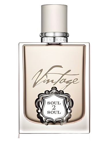 Tim McGraw Soul2Soul for Him Perfume by Tim McGraw for Men UAE
