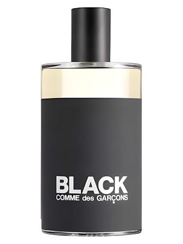 Rouge Perfume by Comme des Garcons for Unisex UAE