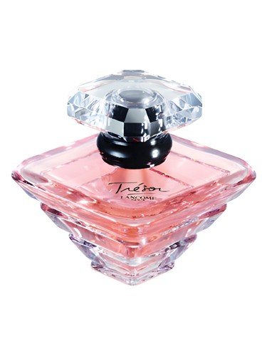 V Canto Temptatio Perfume by V Canto for unisex UAE