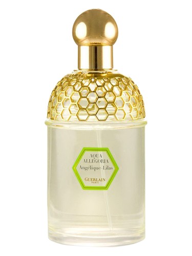 Terracotta Perfume by Guerlain for Women UAE