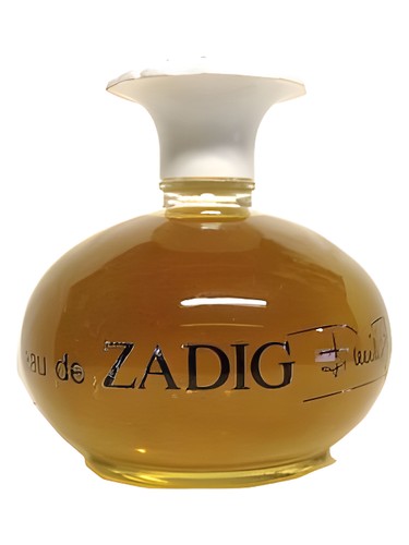 Excited Perfume by Ted Lapidus for female UAE