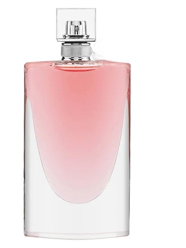 Colors De Benetton Purple Perfume by Benetton for female UAE
