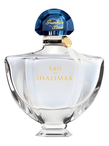 Baby Blue Jeans for men Perfume by Versace for male UAE
