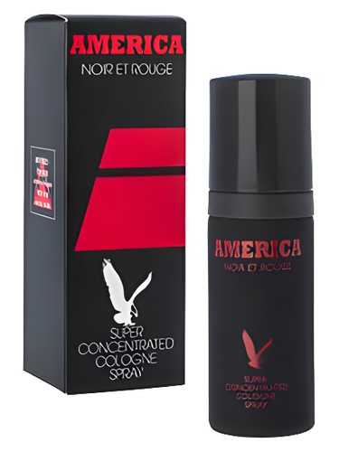 No. 9 Victor Perfume by Milton Lloyd for Men UAE