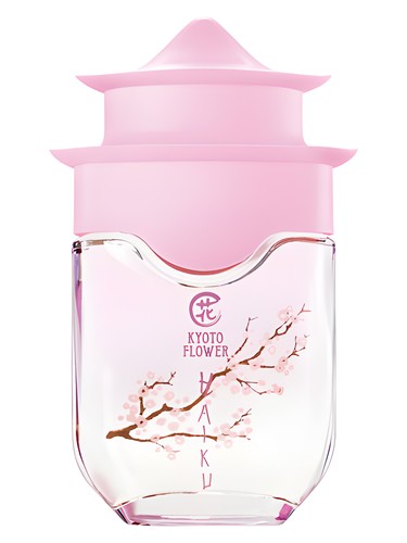 Burberry Brit Sheer Perfume by Burberry for female UAE