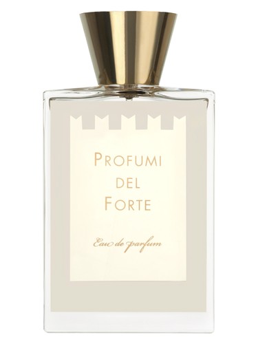 Profumi Del Forte By Night Black Perfume by Profumi Del Forte for male UAE
