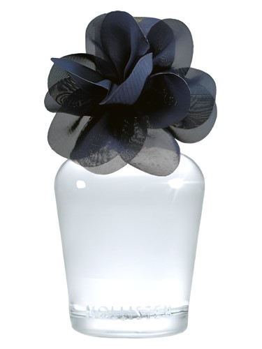 La Jolla Perfume by Hollister for Women UAE