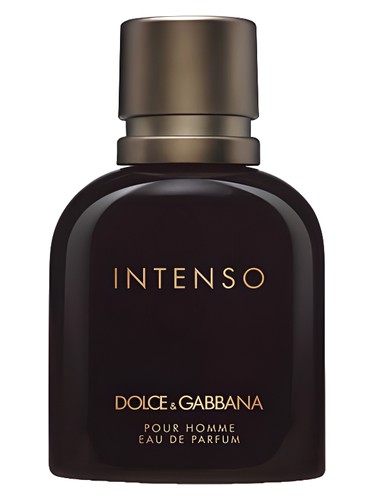 Q by Dolce & Gabbana Parfum Perfume by Dolce&Gabbana for Women UAE