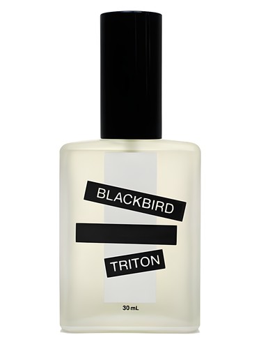 Triton Perfume by Blackbird for Unisex UAE