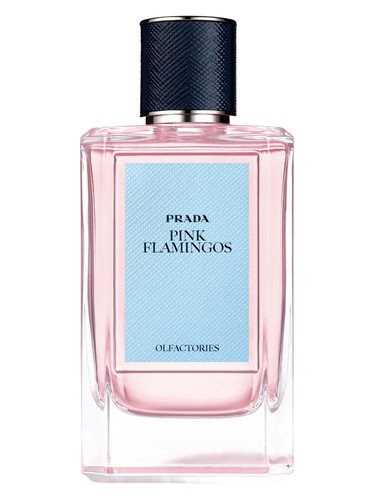 Pink Flamingos perfume
