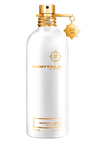 Omanluxury Paramour 91 Perfume by Omanluxury for unisex UAE