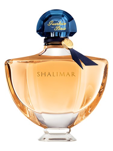 Maison Violet Sketch Perfume by Maison Violet for unisex UAE