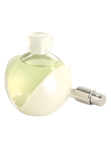 Tom Ford White Patchouli Perfume by Tom Ford for female UAE
