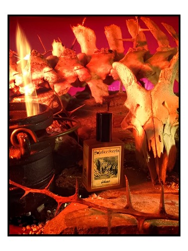 Loggia Perfume by Solstice Scents for Unisex UAE