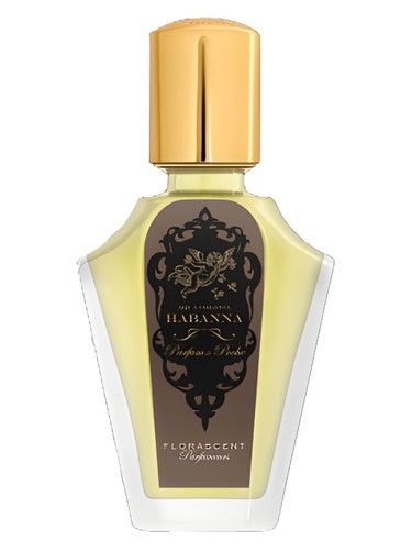 Gomma unisex Perfume by Etro for unisex UAE