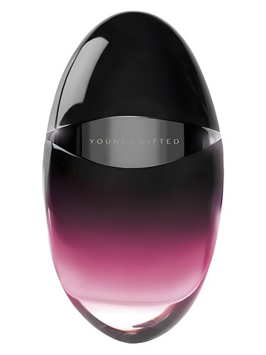 Love Perfume by Young and Gifted for Women UAE