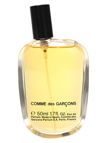 Rouge Perfume by Comme des Garcons for Unisex UAE