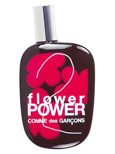 Rouge Perfume by Comme des Garcons for Unisex UAE