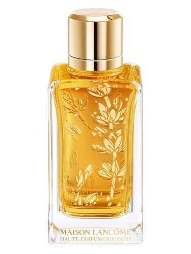 Blumarine Let You Love Me Perfume by Blumarine for female UAE