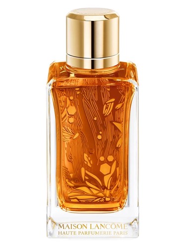 Oud Ambroisie Perfume