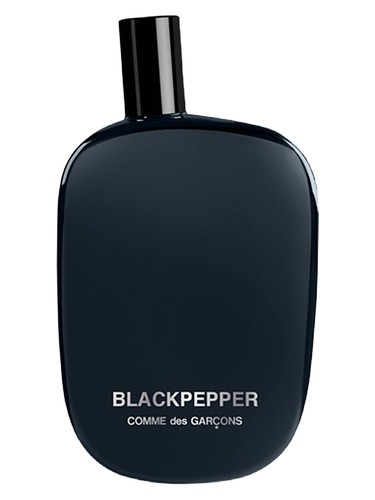 Rouge Perfume by Comme des Garcons for Unisex UAE