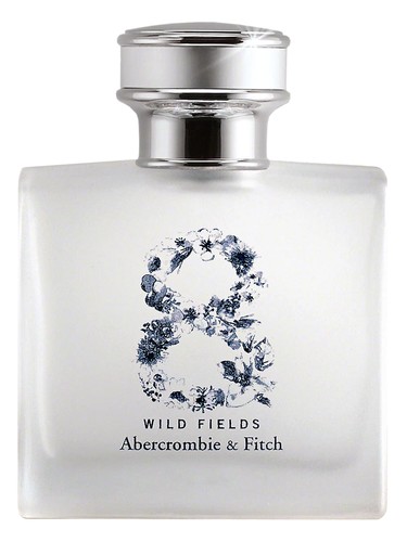 Oud Nuit Perfume by Abercrombie & Fitch for Men UAE