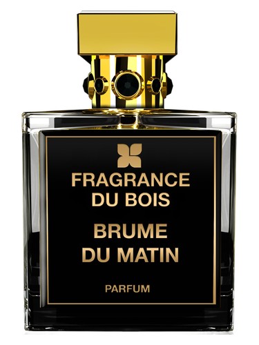 Oud Jaune Intense Hair Mist Perfume by Fragrance Du Bois for Unisex UAE