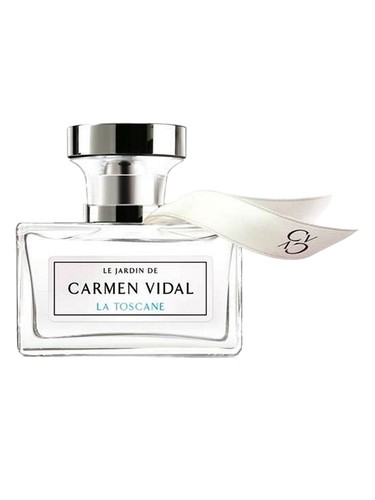 Noir Germaine de Capuccini Perfume by Germaine De Capuccini for Men UAE