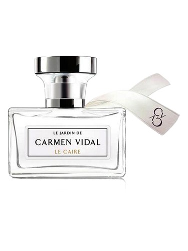 Noir Germaine de Capuccini Perfume by Germaine De Capuccini for Men UAE