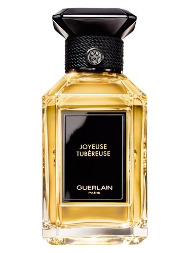 Northern Lights unisex Perfume by Noses for unisex UAE