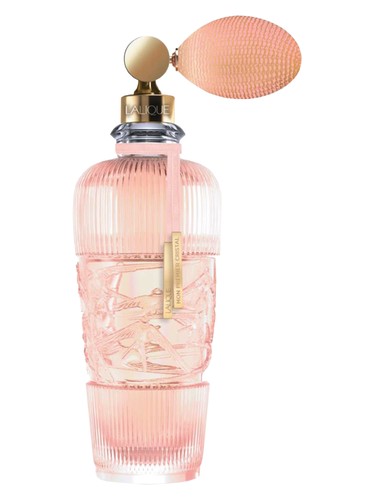 Tendre perfume