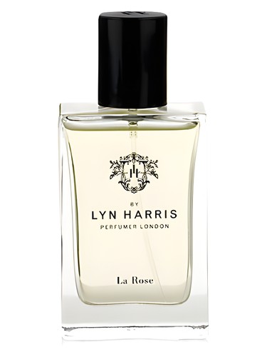 Lyn Harris Le Perfume by Marks & Spencer for Men UAE