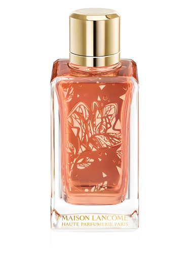 Deliciae unisex Perfume by Memoize London for unisex UAE
